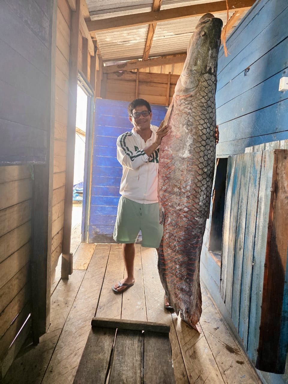 GröSsenvergleich Paiche Mensch