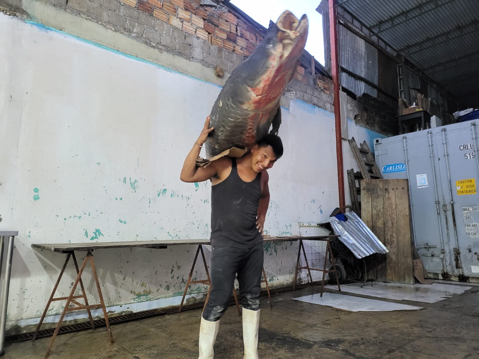 Mann Mit Arapaima Gigas